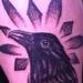 Tattoos - Raven - 61408